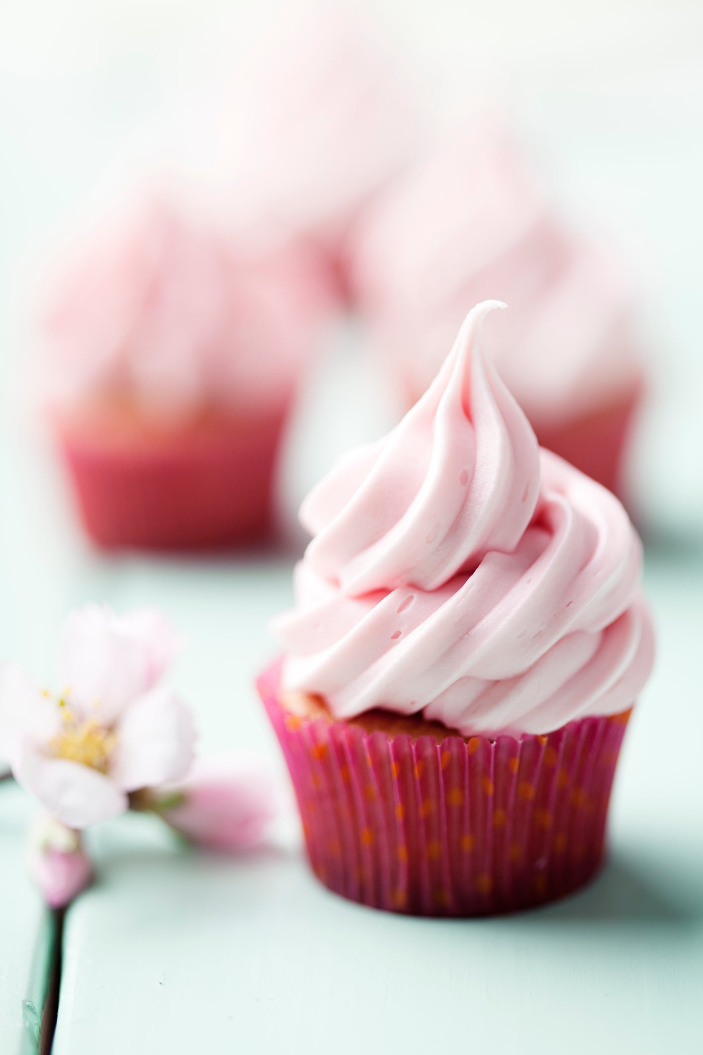 Natural Pink Food Coloring - .5oz - Nature’s Baker